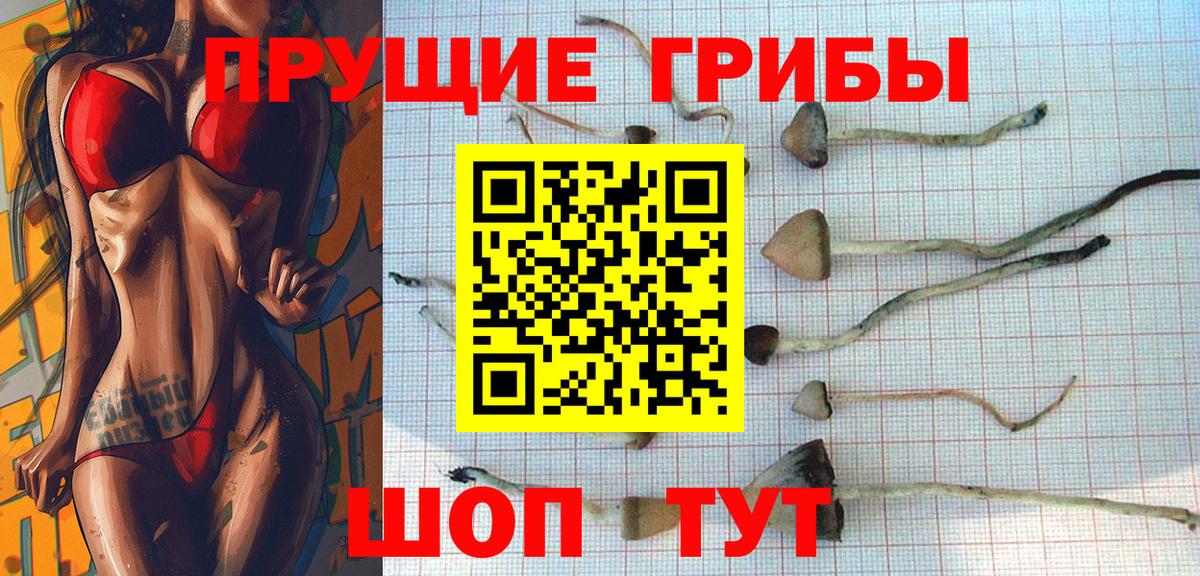 Псилоцибиновые грибы мухоморы Электрогорск